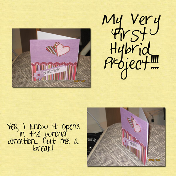 myy first hybrid project please don't laugh!