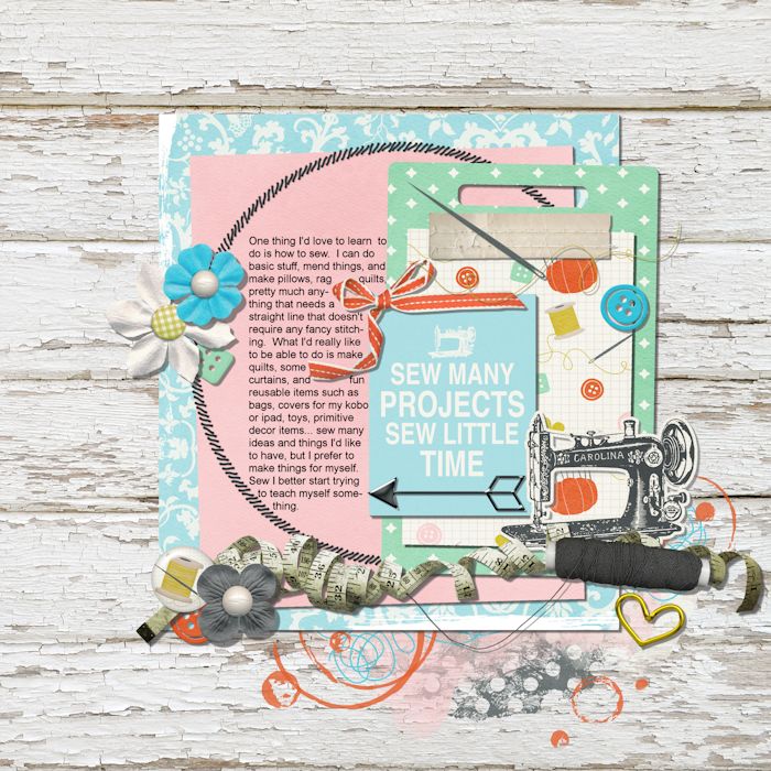 N17 - Sew Many Projects...