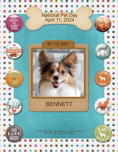 National Pet Day April 11, 2024