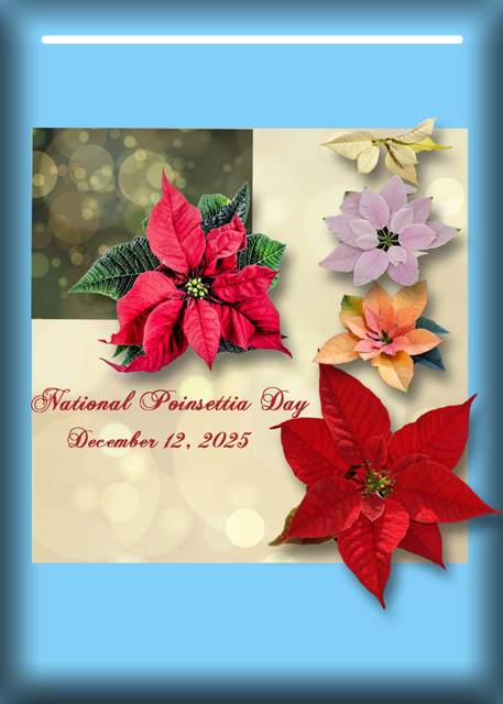 National Poinsettia Day