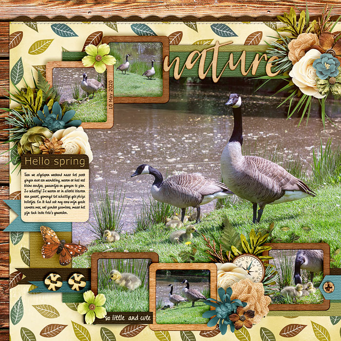 Nature