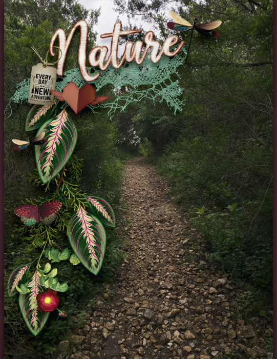 Nature19