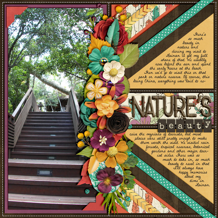 Nature's Beauty
