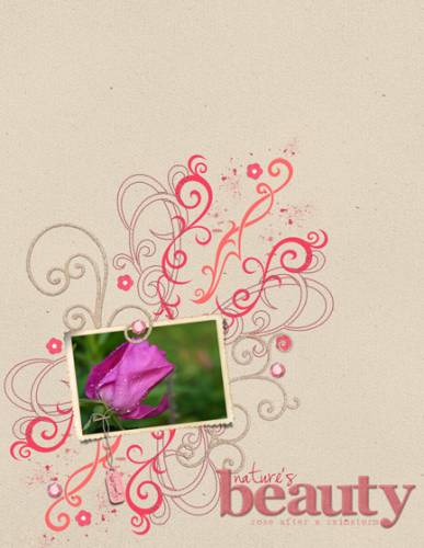 Nature's Beauty