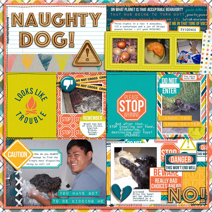 Naughty Dog