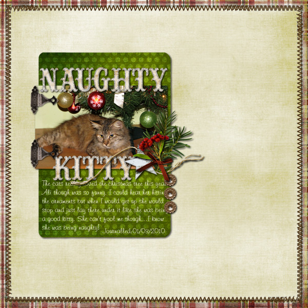 Naughty Kitty