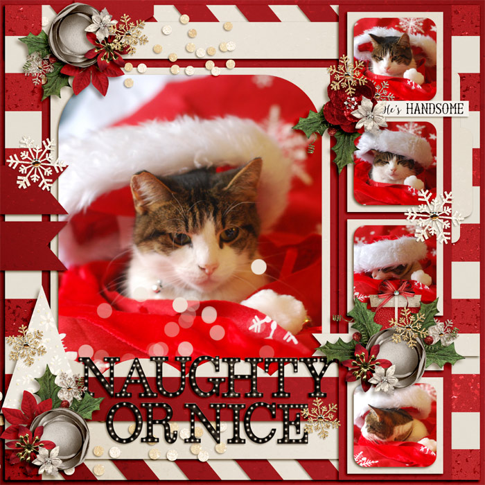 Naughty Or Nice