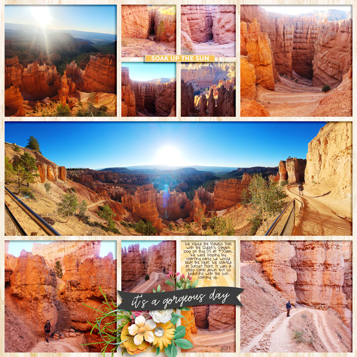 Navajo Trail