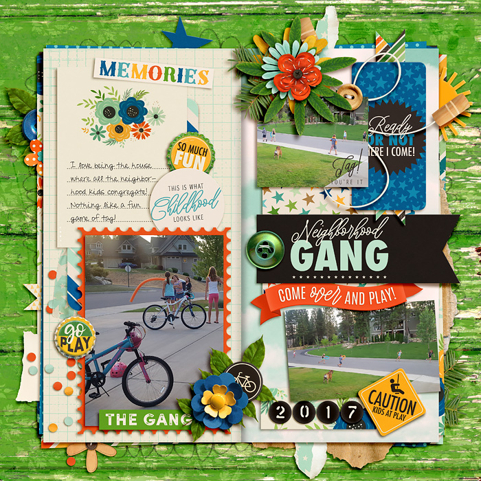 Neighborhood Gang