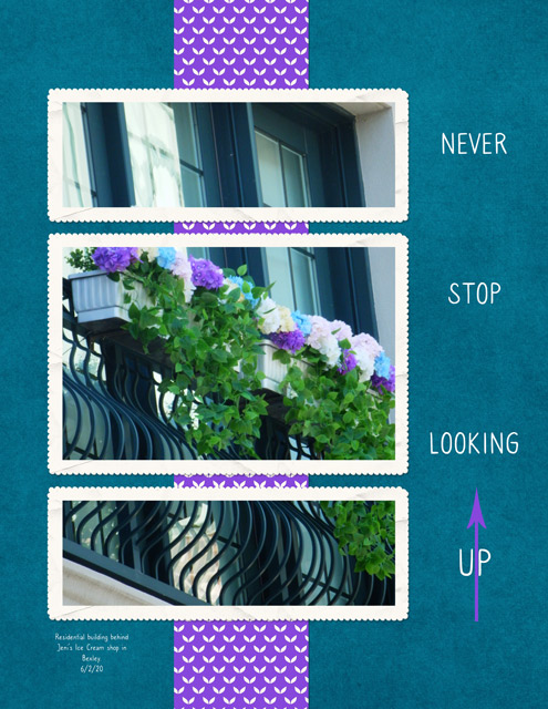 Never Stop Looking Up