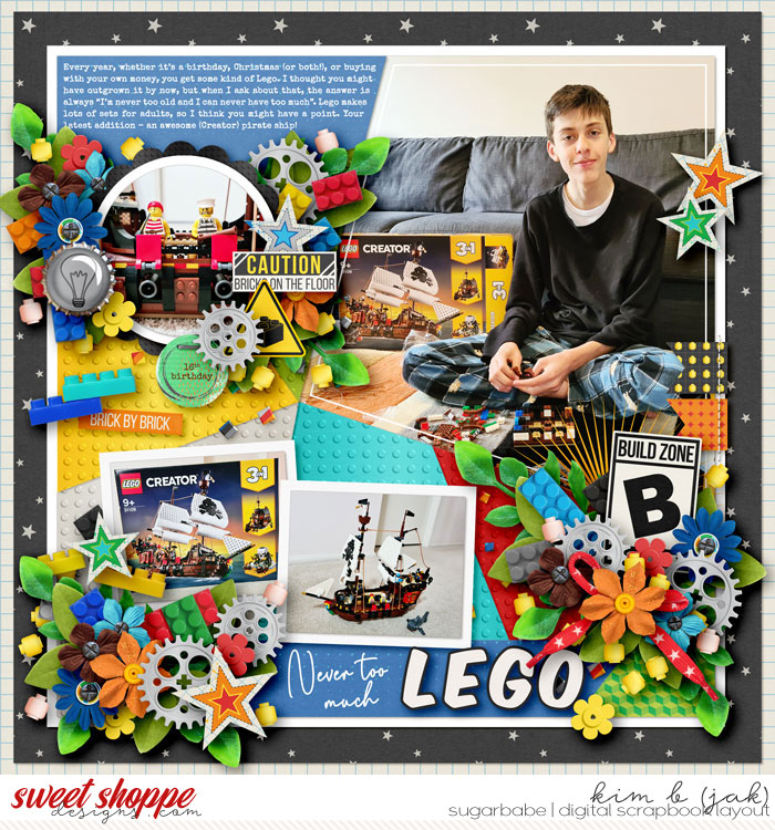 Never Too Much Lego
