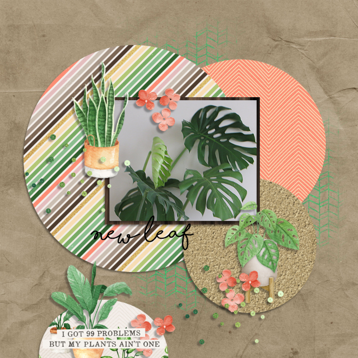 new leaf