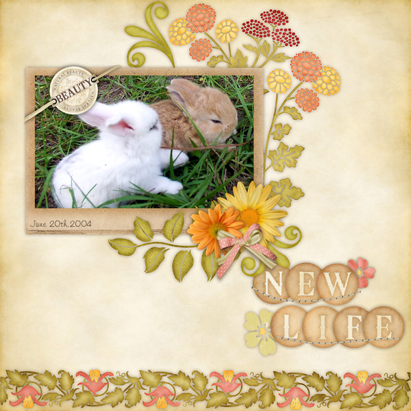 New Life