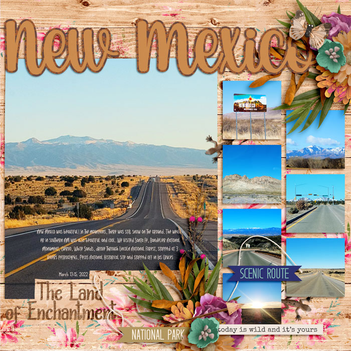 New Mexico 0322