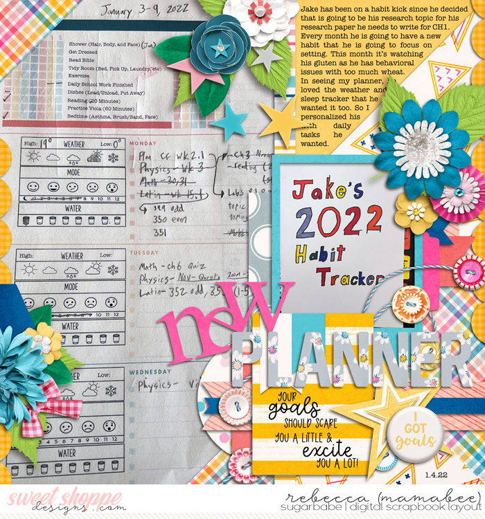 New Planner Goal