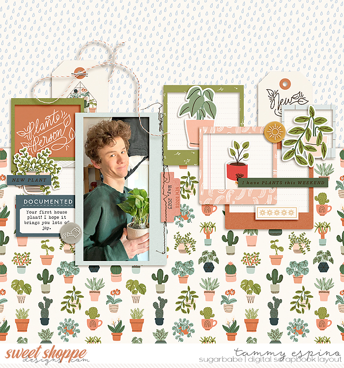 new plant