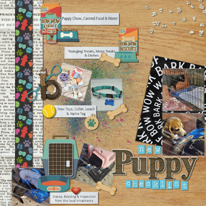 New Puppy Checklist
