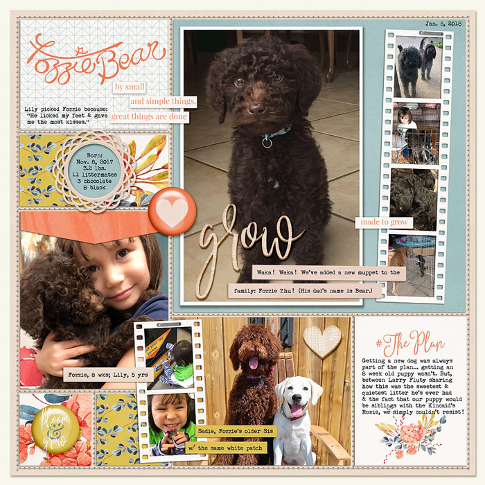 New Puppy: Fozzie