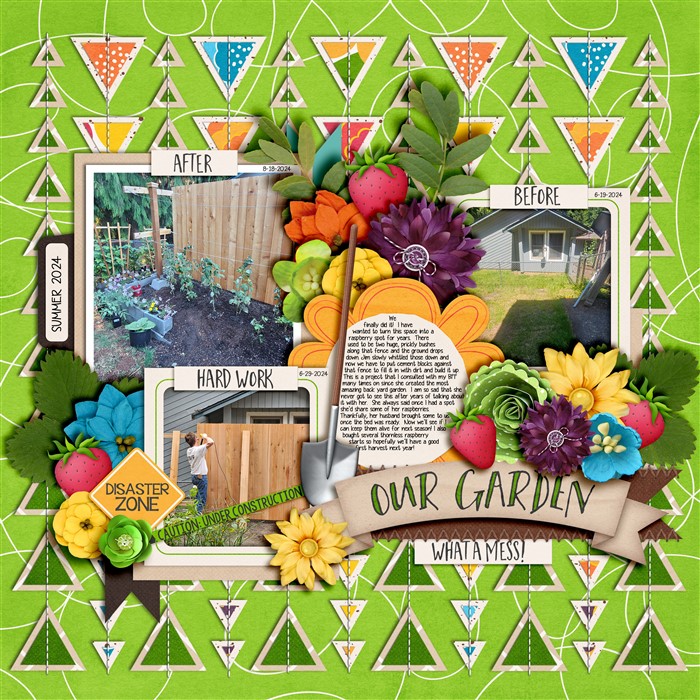 New Raspberry Fence