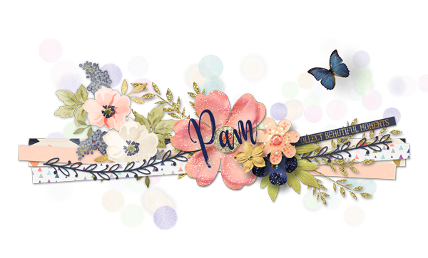 New Siggy