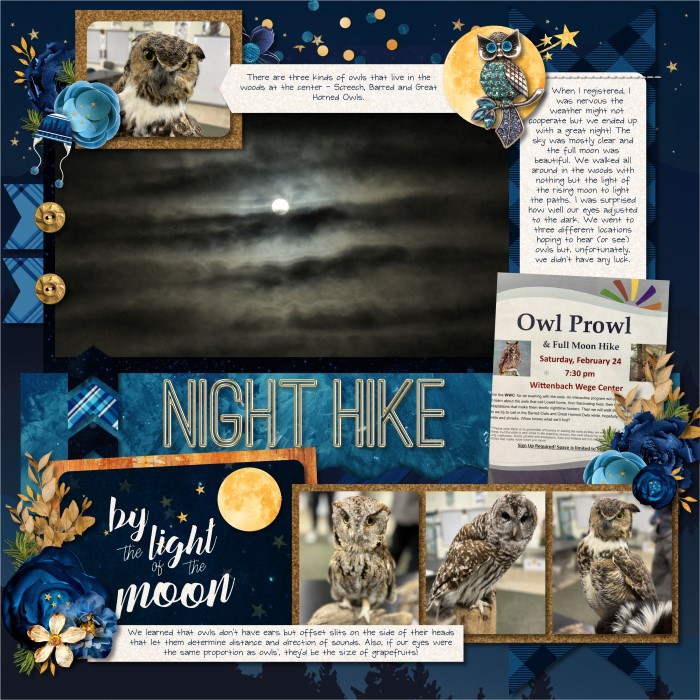 Night Hike