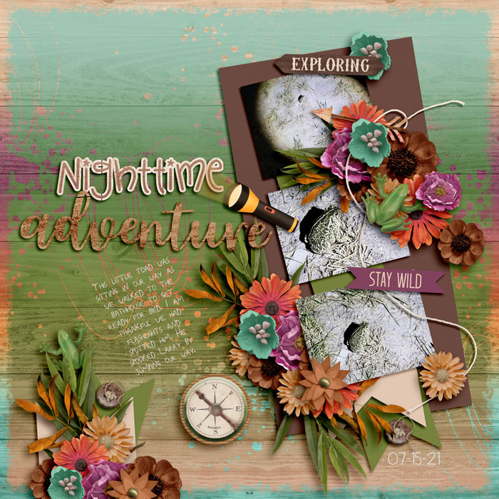 Nighttime Adventures 07-21