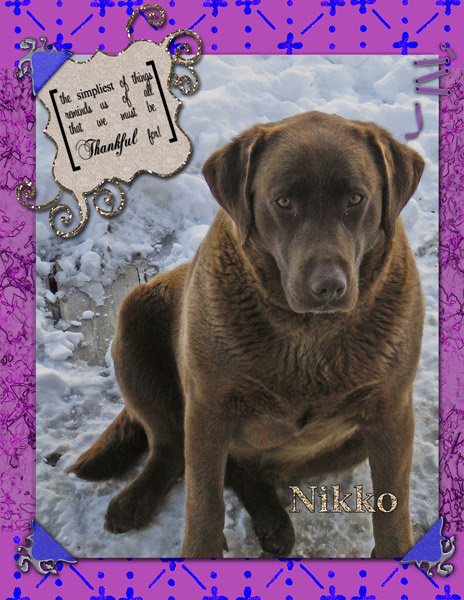 Nikko