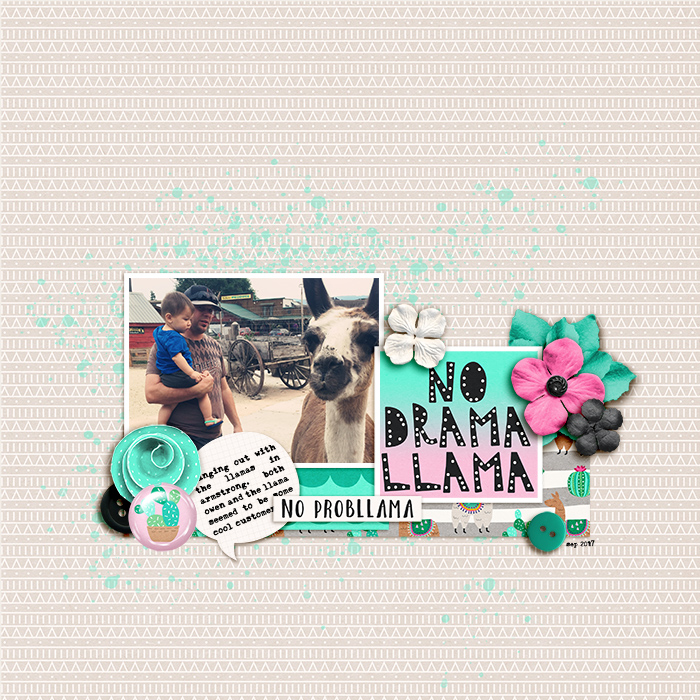 No Probllama