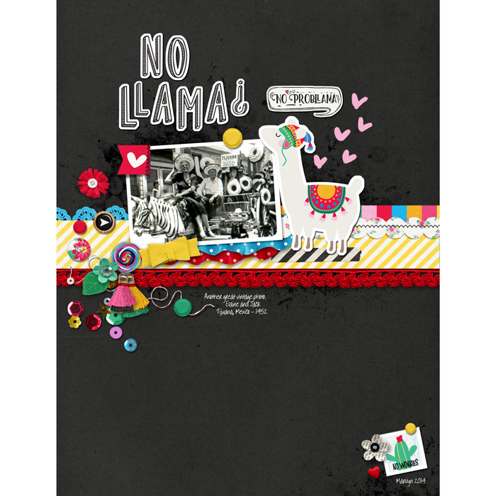 No Probllama