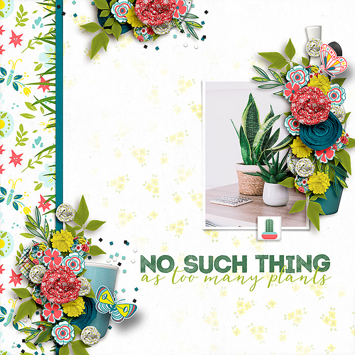 No Such Thing