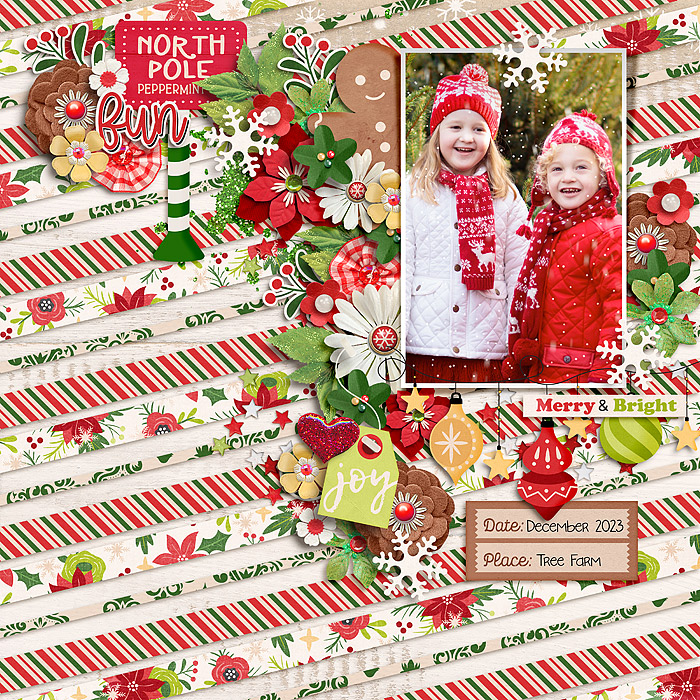 North Pole