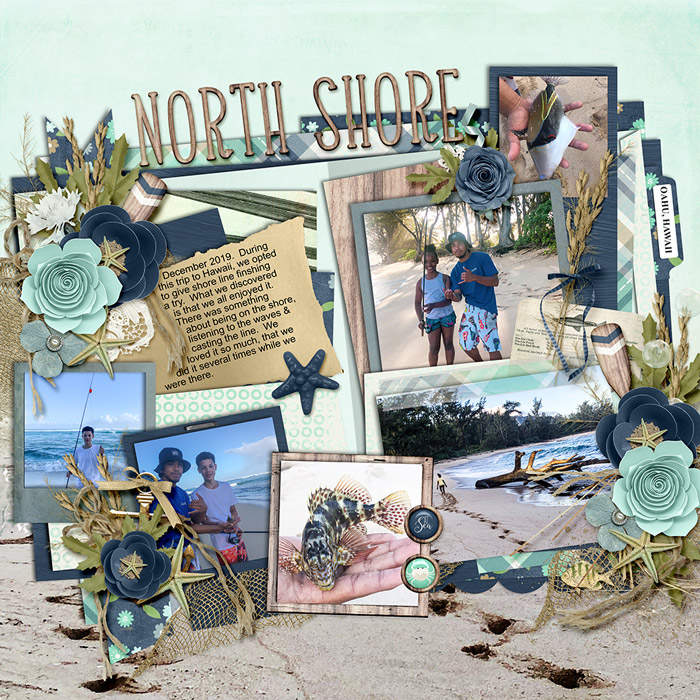 North Shore Fishing