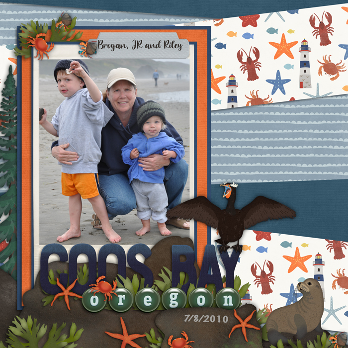 Northern Beaches bundle by Clever Monkey Graphics