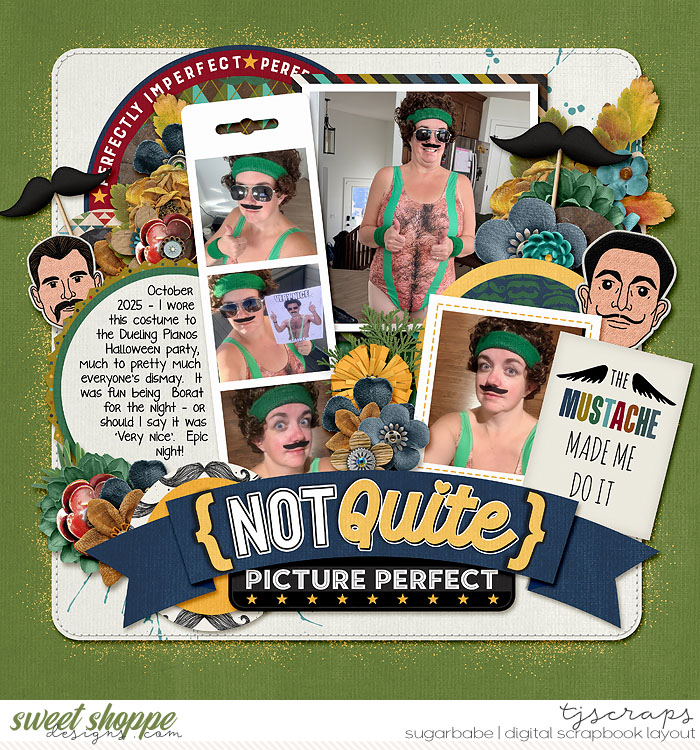 Not Quite Picture Perfect