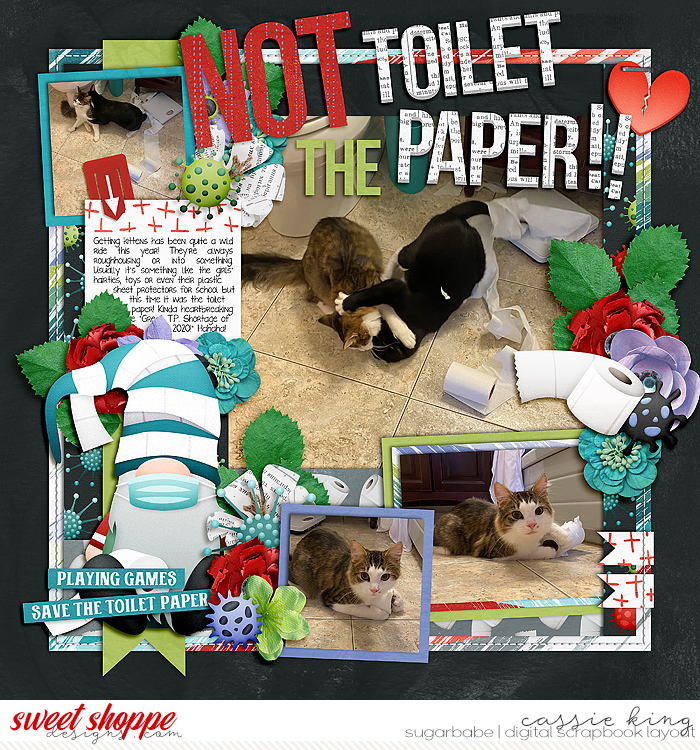 Not the Toilet Paper!!