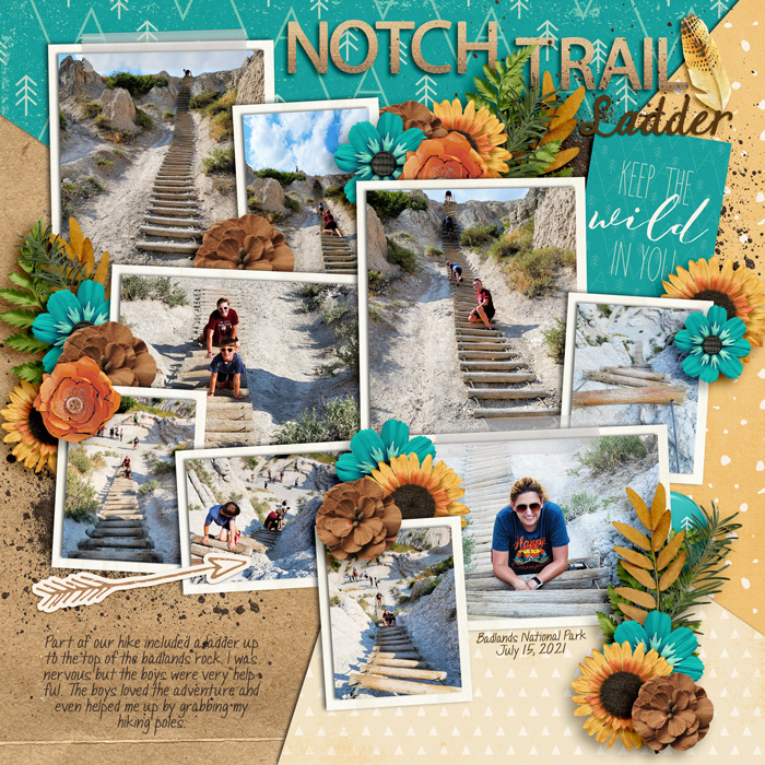 Notch Trail Ladder