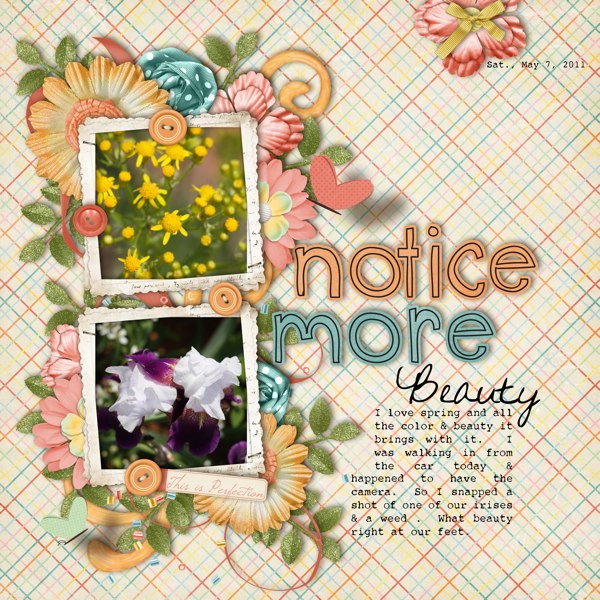 Notice More Beauty