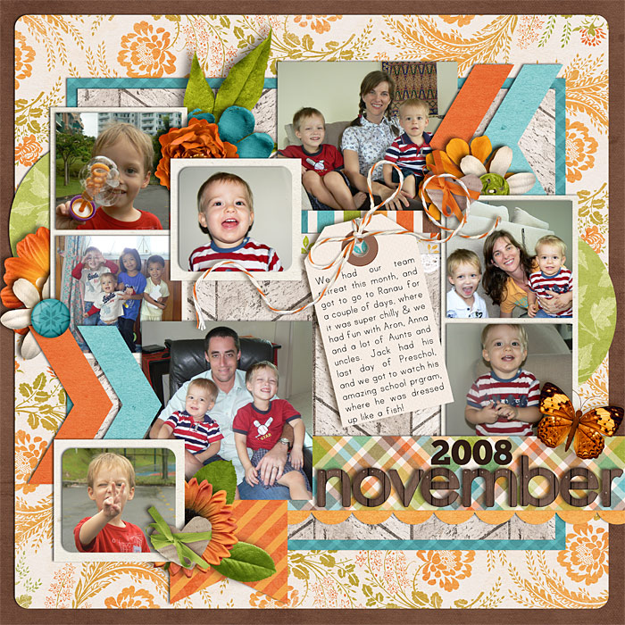 Nov 2008 Review