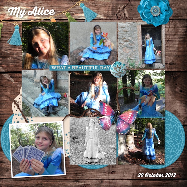Nov14 - 8 photos