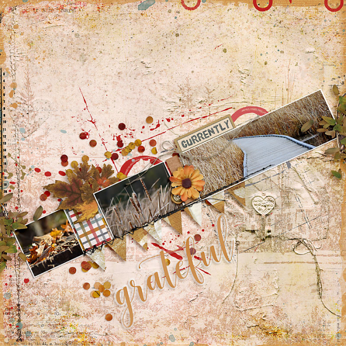 November 2020 Passport to Gratitude: Challenge 12 Composition Diagonal