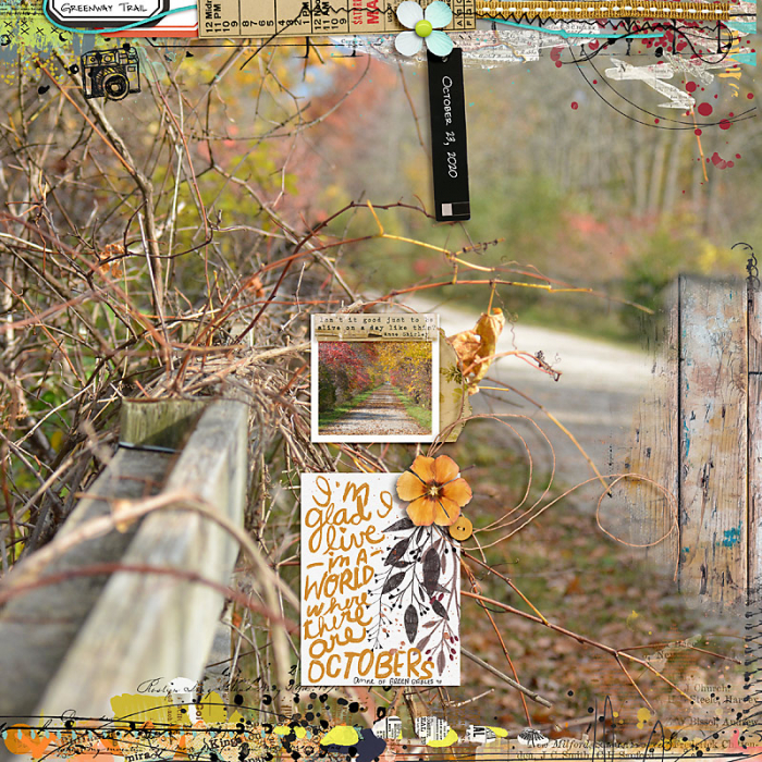 November 2020 Passport to Gratitude: Challenge 7 Photography