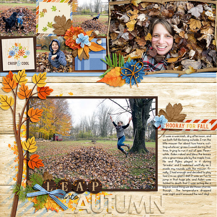November fall harvest 01