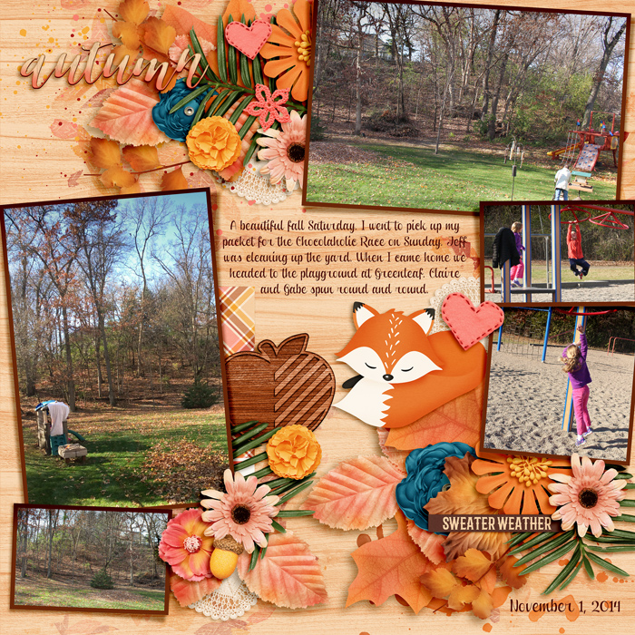 November leaf cleanup