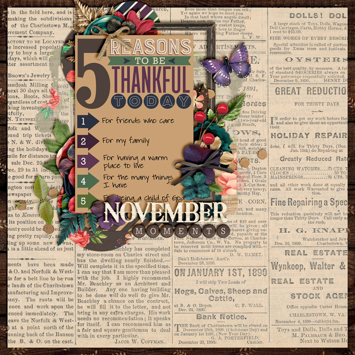 November Moments