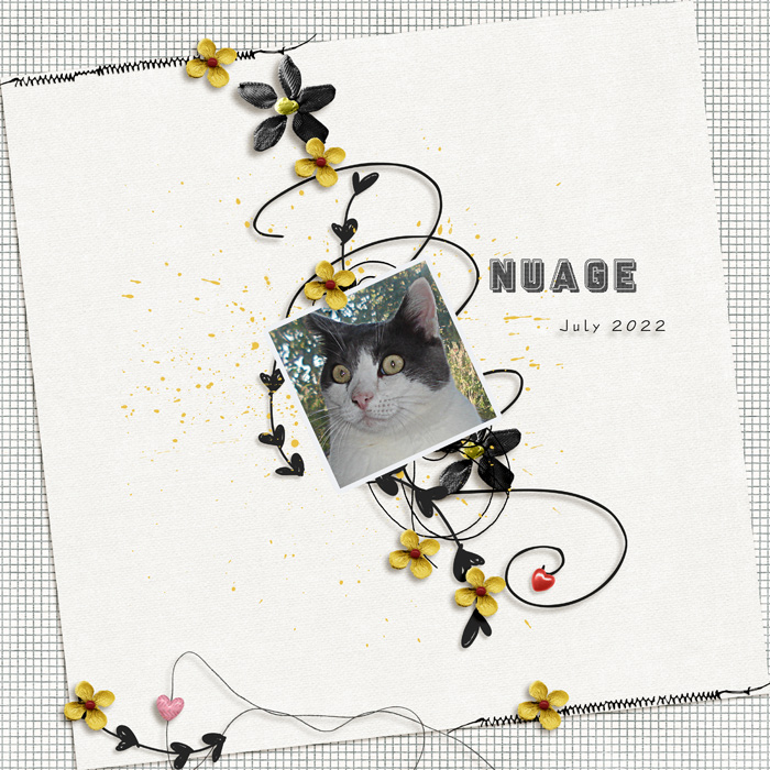 Nuage