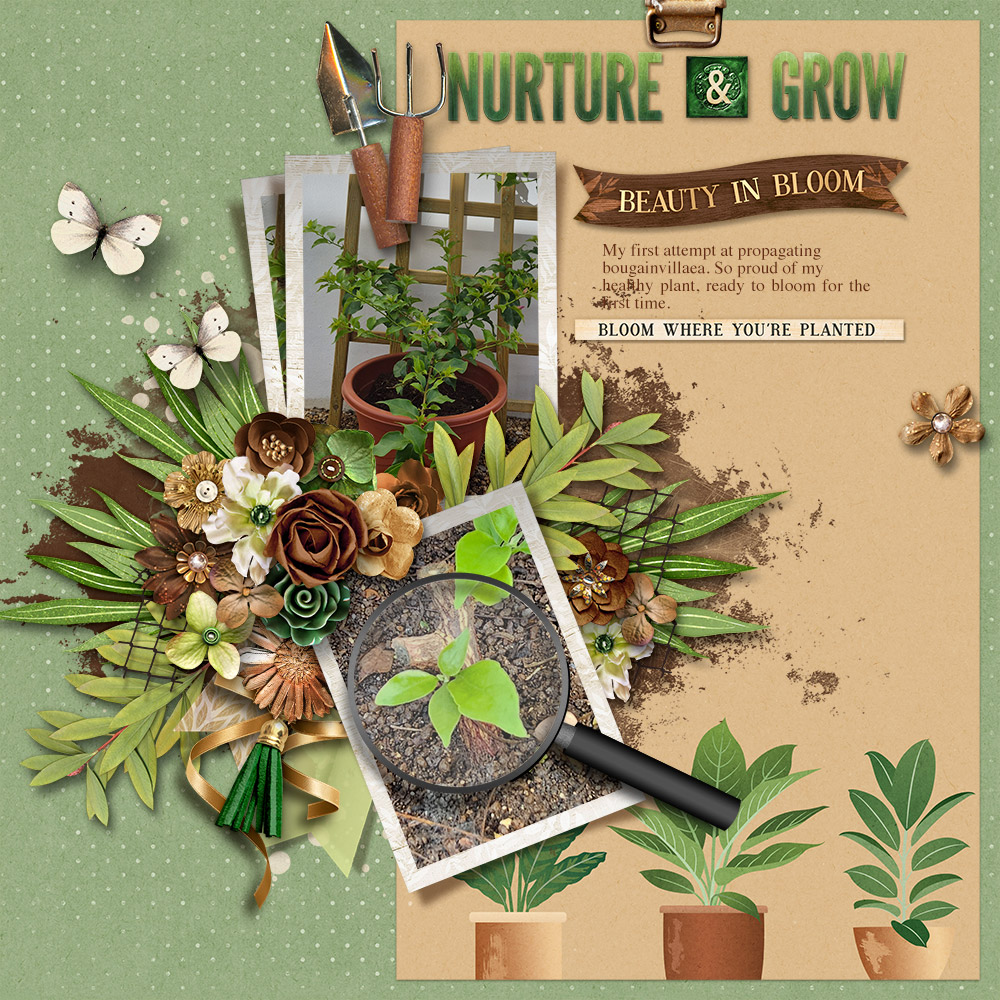 Nurture-&-Grow.jpg