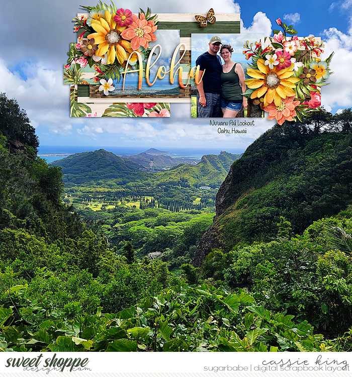Nu'Uanu Pali Lookout