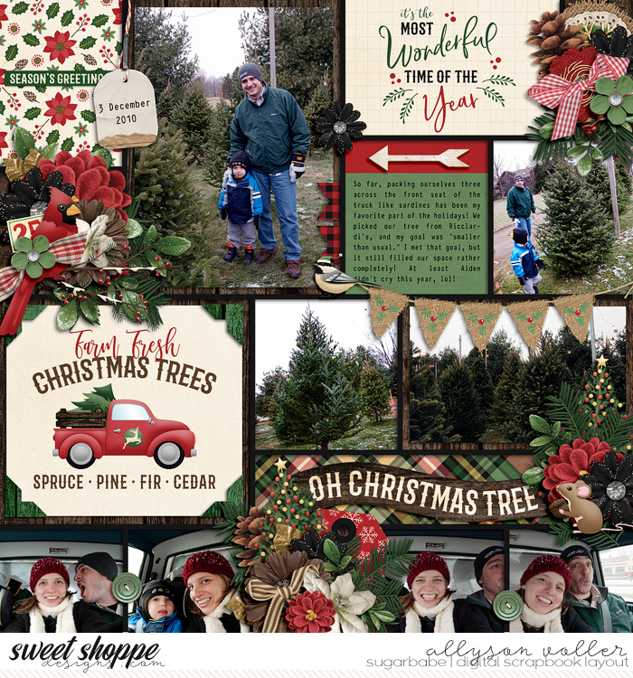 O Christmas Tree 2010