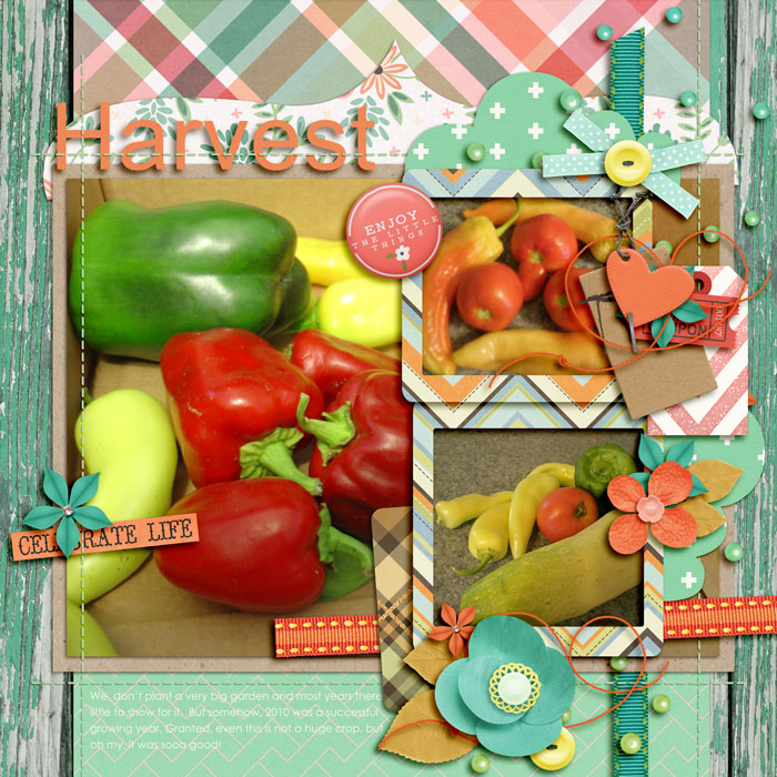 O13 - harvest