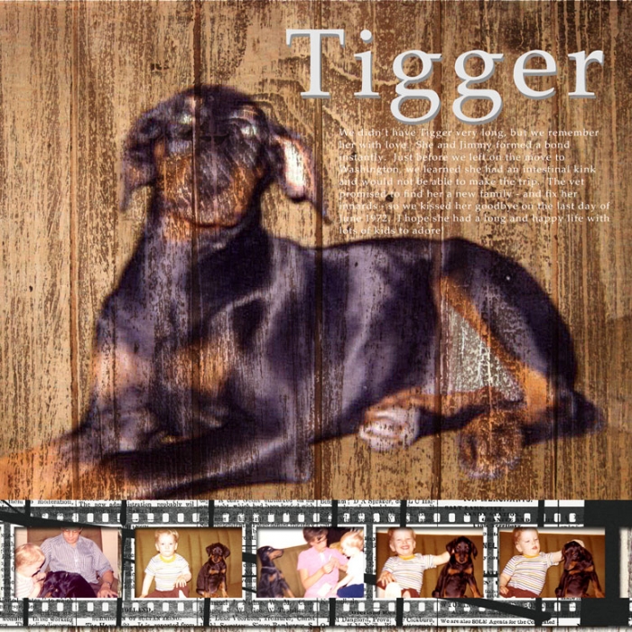 O4-Tigger
